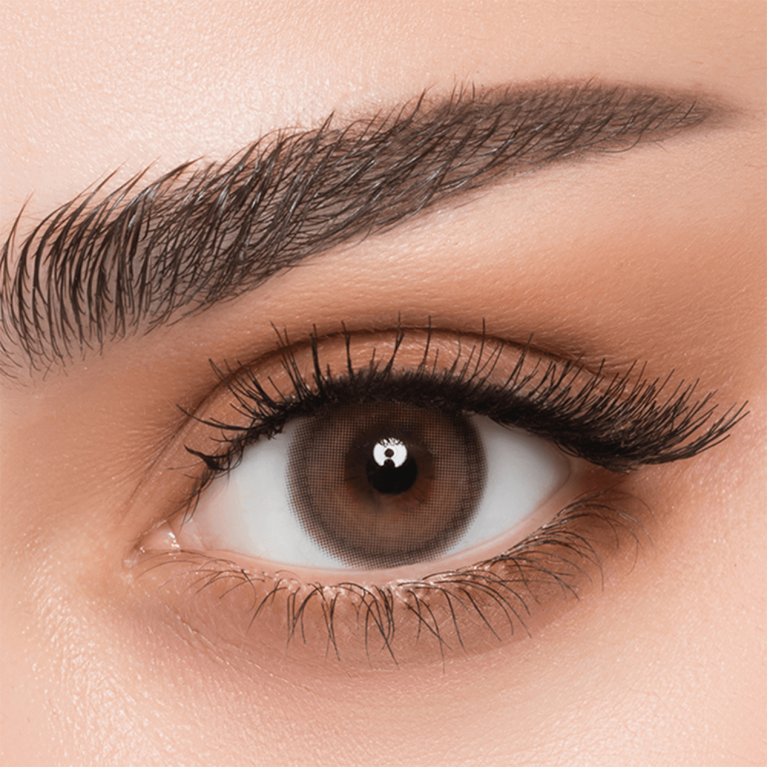 عدسات يومية ملونة من أفل - بالم